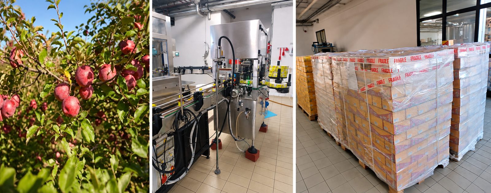 Organic apple orchard, the Nutritive Cells filling and labelling line, and finished juice shots palletised and wrapped for shipment